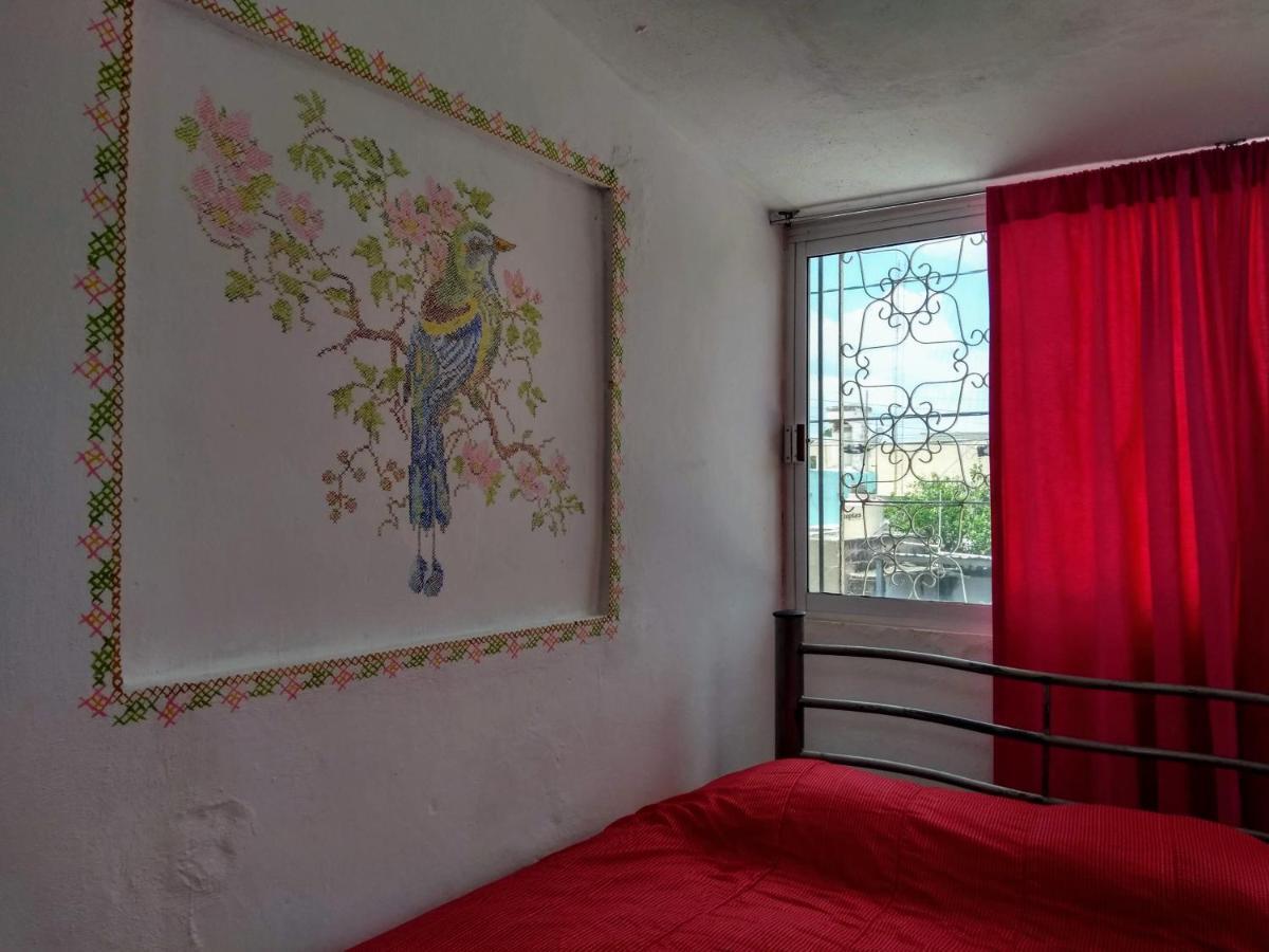 Appartement Casa Mestiza à Mérida Extérieur photo